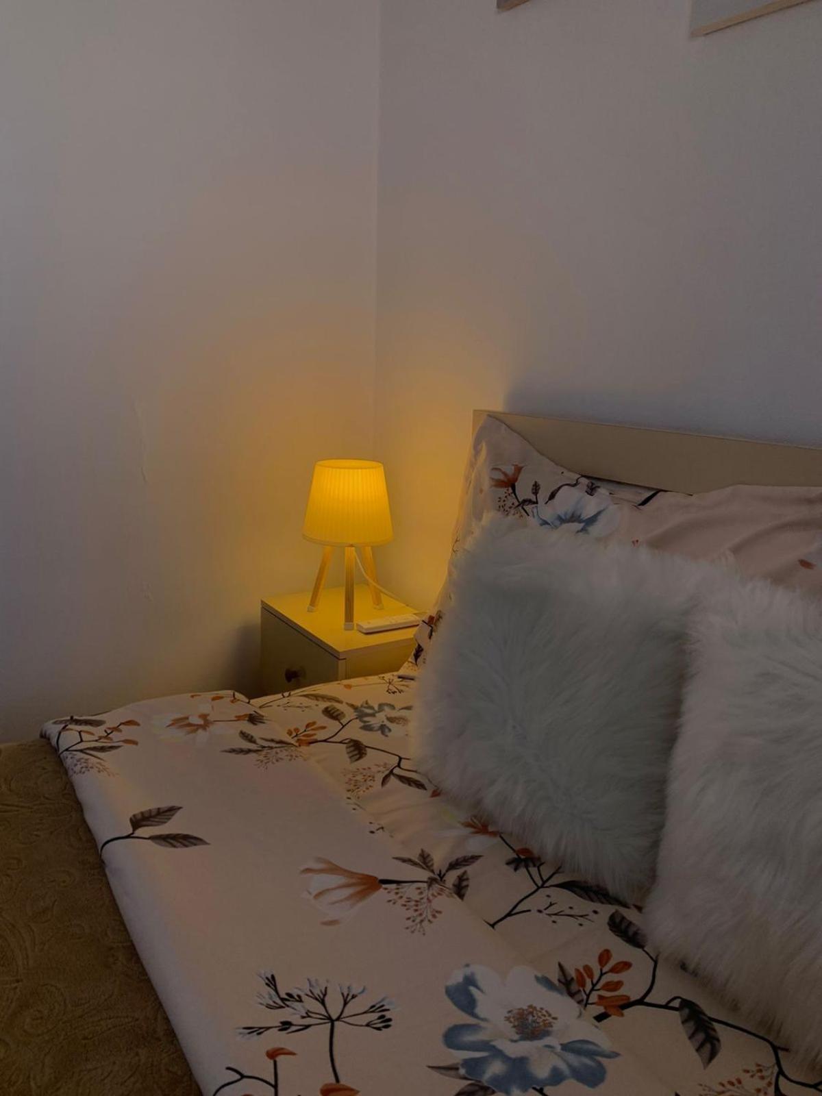 Ridi'S Comfort Apartment 2 Shkodra Kültér fotó